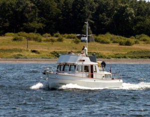 Astor: Vi møtte denne i Gullholmsundet for et par år siden. 