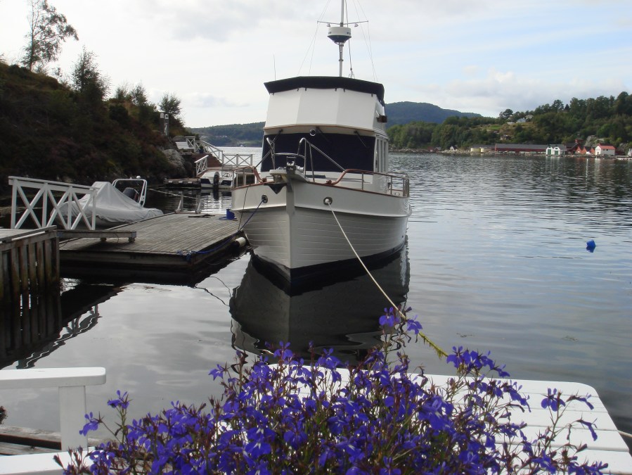 gb 36 classic aimabel